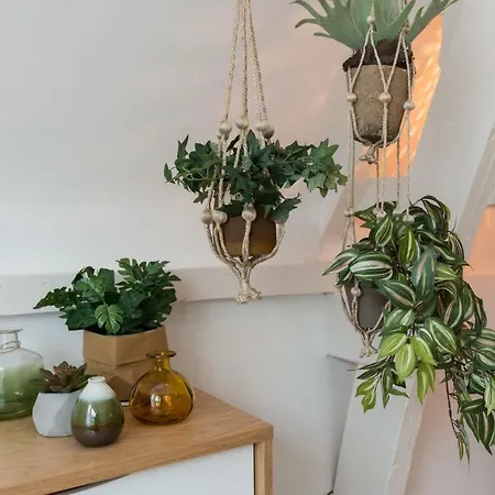 ホームステイ Way Up *