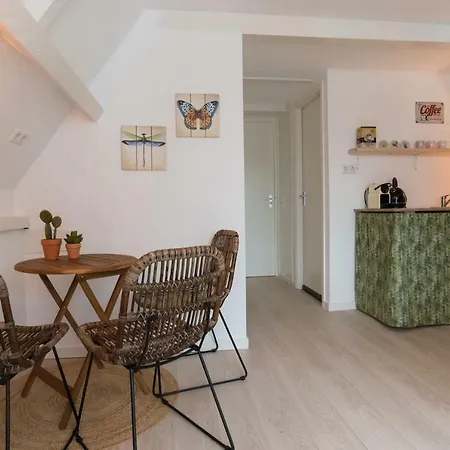 Way Up ホームステイ アムステルダム