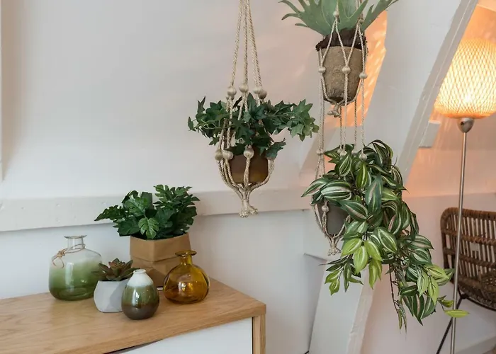 Проживание в семье Way Up *