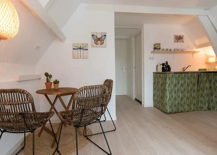 Way Up ホームステイ アムステルダム